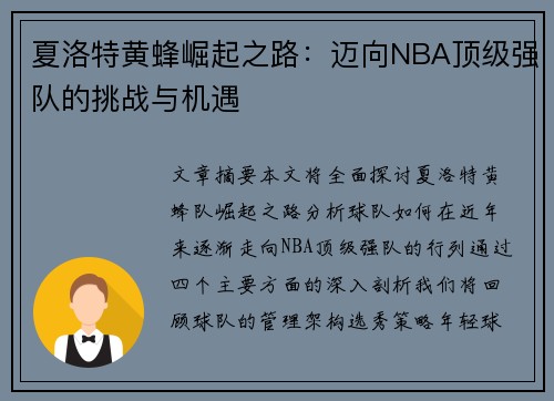 夏洛特黄蜂崛起之路：迈向NBA顶级强队的挑战与机遇