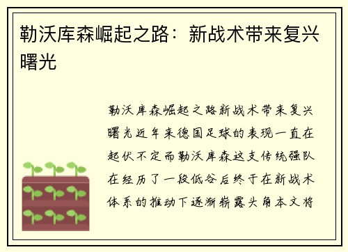 勒沃库森崛起之路：新战术带来复兴曙光